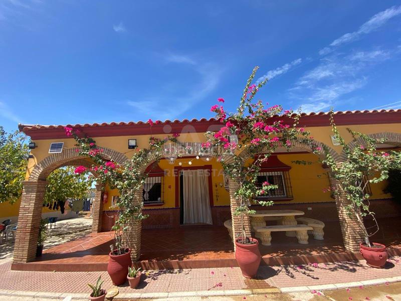 Foto 3114ef57-f00e-43c6-98dd-e89e551b8f45. Finca rústica en Lora del Río