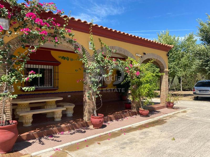 Foto 32849244-4996-44d3-8095-ca7789b5d76a. Finca rústica en Lora del Río