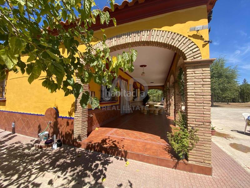 Foto 644478eb-586b-4bfe-9185-73d735dc34f9. Finca rústica en Lora del Río