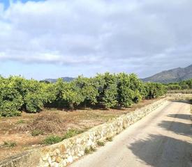 Terrain résidentiel à Nombre de lugar camino sanet 4 4