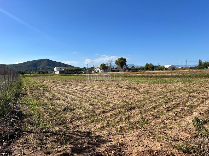 Foto 6fcd1fd9-5196-4833-b606-72b2d4b13520. Terreno residencial en Eucaliptus - Poble Nou del Delta Amposta