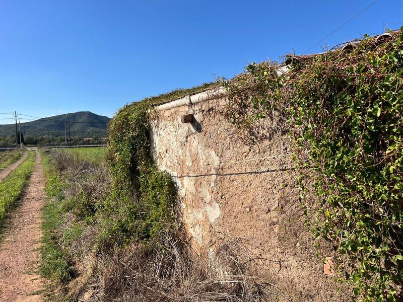 Foto 75d4fe45-8eb5-41f8-9aa0-8334cd5f23df. Terreno residencial en Eucaliptus - Poble Nou del Delta Amposta