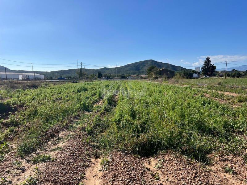 Foto 9b990cee-27fd-45c3-b3a4-11b61a827a03. Terreno residencial en Eucaliptus - Poble Nou del Delta Amposta