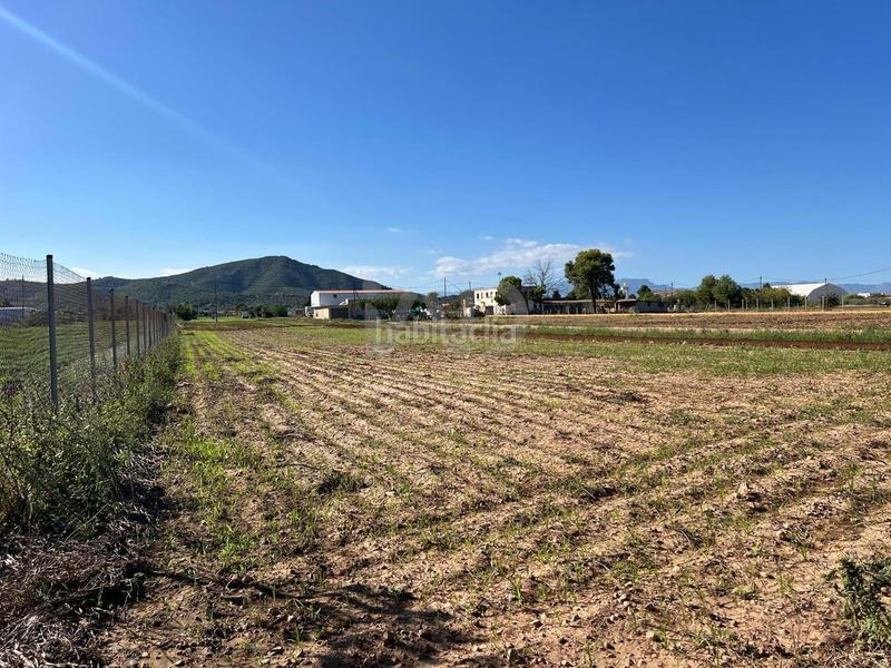 Foto a0612bf7-9594-4a96-a5c3-ad7e3d9ee8e9. Terreno residencial en Eucaliptus - Poble Nou del Delta Amposta