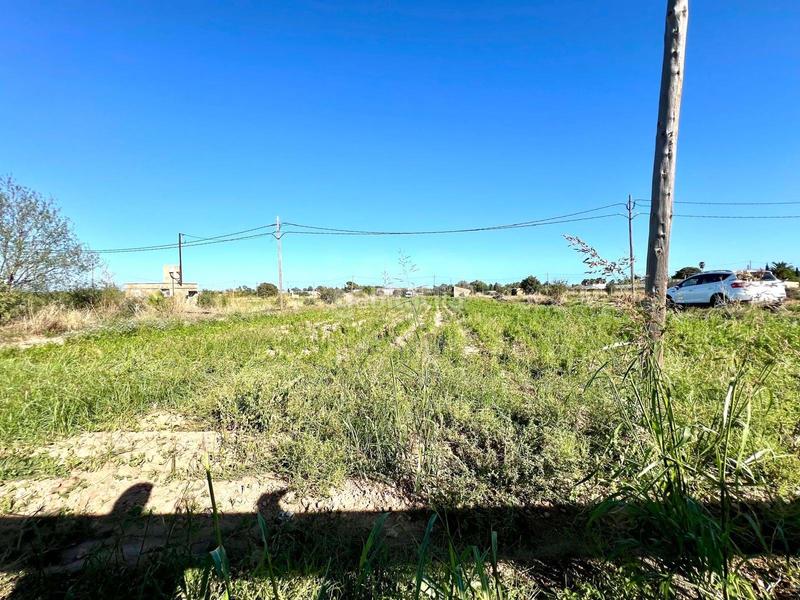 Foto dd20aa76-f94c-44db-8a3c-74c26fc7f5de. Terreno residencial en Eucaliptus - Poble Nou del Delta Amposta