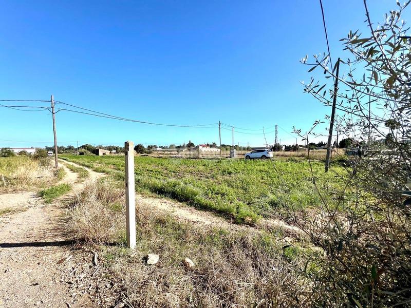 Foto 0d1d9ae9-e9bd-453f-80ef-b5054e2fb26a. Residential plot in Eucaliptus - Poble Nou del Delta Amposta