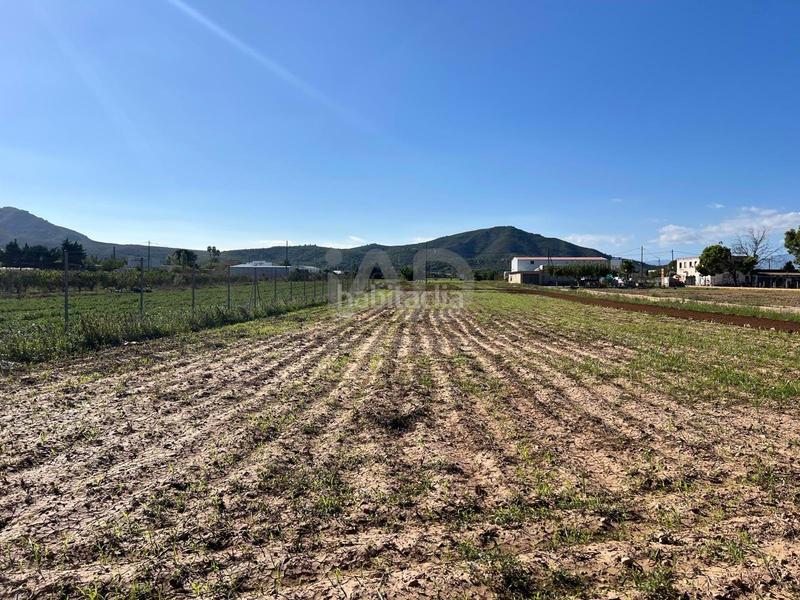 Foto 50a95e44-c879-470b-9f3f-2ee9727c51b8. Residential plot in Eucaliptus - Poble Nou del Delta Amposta