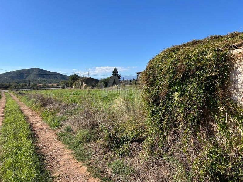 Foto 5a30dad5-821b-47d1-9b87-e2de6b176a03. Residential plot in Eucaliptus - Poble Nou del Delta Amposta