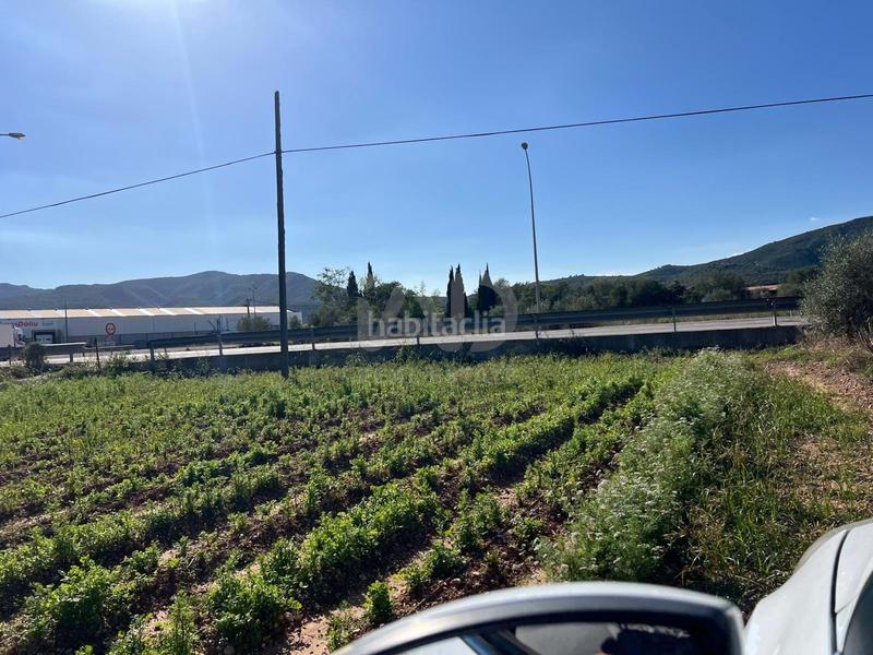 Foto eed54d0d-4f1c-4488-959a-c9dae03285ed. Residential plot in Eucaliptus - Poble Nou del Delta Amposta