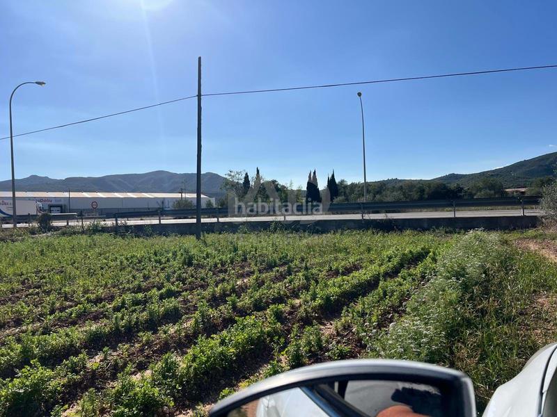 Foto 8185c315-5ee5-4b09-89cb-c3a5a2cee3fe. Terrain résidentiel dans Eucaliptus - Poble Nou del Delta Amposta