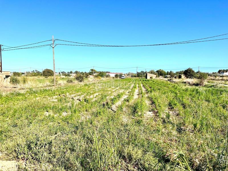 Foto 87a9cb2a-31d7-41e7-8eb6-404c518b0468. Terrain résidentiel dans Eucaliptus - Poble Nou del Delta Amposta