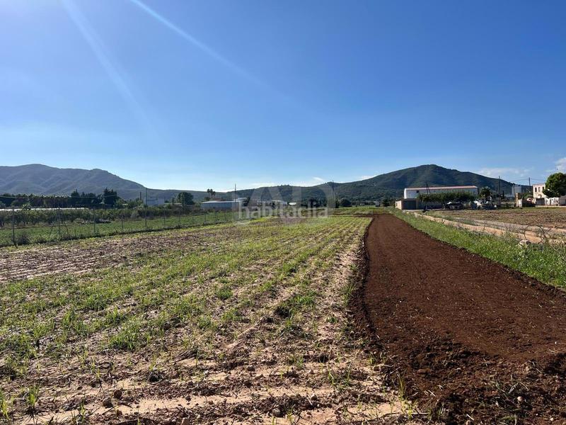 Foto 80eef0e9-b1b4-48d2-ad19-c6ceb4080302. Wohngrundstück in Eucaliptus - Poble Nou del Delta Amposta