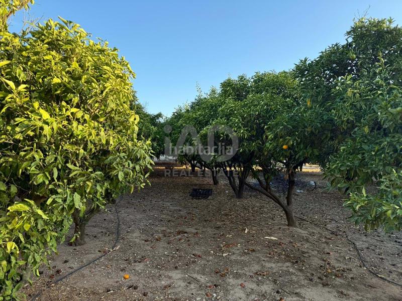 Foto 7822fdc8-1dbe-492e-b772-6db823b5b031. Terreno residencial en Las Lagunas - Campano Chiclana de la Frontera