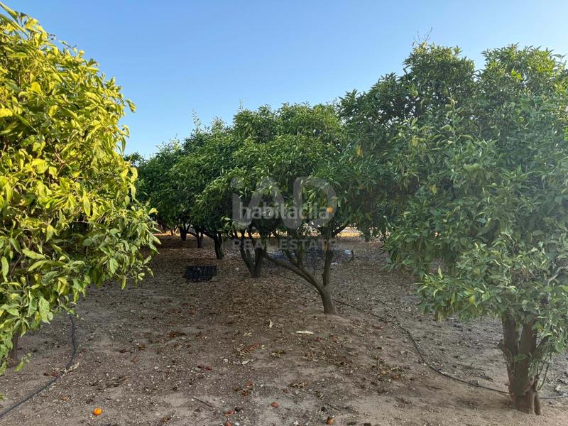 Foto 7e7435ec-ba54-41a7-b2d0-f94362e7f753. Terreno residencial en Las Lagunas - Campano Chiclana de la Frontera