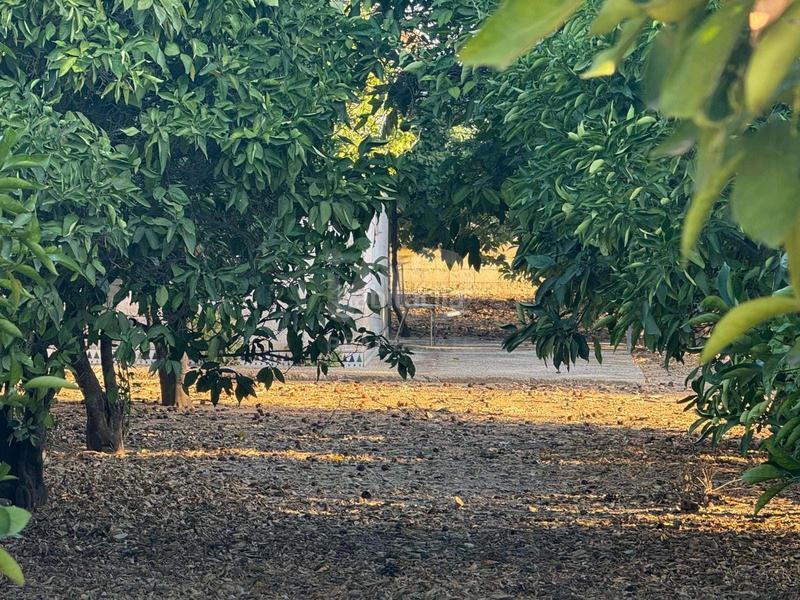 Foto f60c3372-36a0-4dd4-b869-7d94e45dae2f. Terreno residencial en Las Lagunas - Campano Chiclana de la Frontera