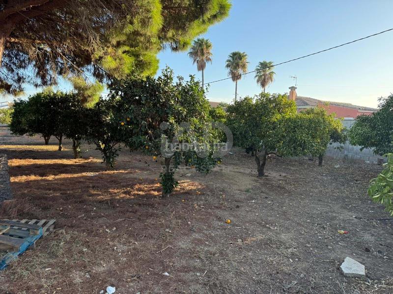 Foto 3c3d2a18-b44a-4171-bd47-ab2ec4c78de6. Wohngrundstück in Las Lagunas - Campano Chiclana de la Frontera