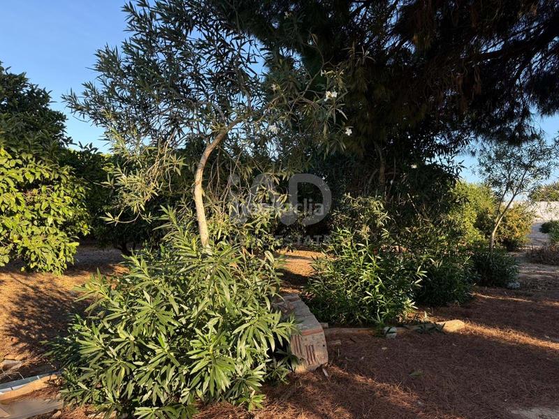 Foto b19f62ad-2762-4427-b645-8cffdbf6120d. Wohngrundstück in Las Lagunas - Campano Chiclana de la Frontera
