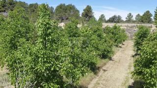 Finca rústica a Gandesa