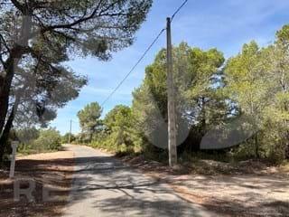 Terrain résidentiel à Camino partida "comas" Poligono 6 parcela 121 - Vallmoll 6 6