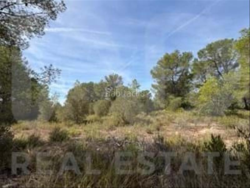 Foto 01e8e755-1215-4a77-85dd-117cd54f3801. Wohngrundstück in camino partida "comas" poligono 6 parcela 121 - vallmoll 6 6 in Constantí