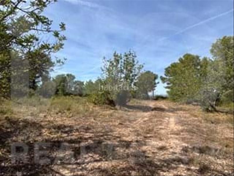 Foto 15056589-1191-4663-9bb1-97f5970389e4. Wohngrundstück in camino partida "comas" poligono 6 parcela 121 - vallmoll 6 6 in Constantí