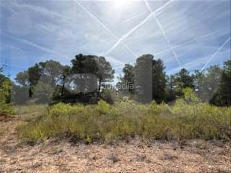 Foto 3e2e149c-501a-4e2c-8e94-37a90e5a0fff. Wohngrundstück in camino partida "comas" poligono 6 parcela 121 - vallmoll 6 6 in Constantí