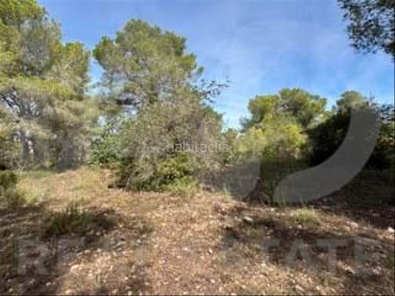 Foto 469a20e5-f2b6-43fc-a5b1-c183162f929f. Wohngrundstück in camino partida "comas" poligono 6 parcela 121 - vallmoll 6 6 in Constantí