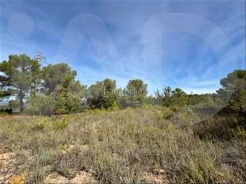 Foto 594867eb-2d09-4e83-8b83-968a5015a59c. Wohngrundstück in camino partida "comas" poligono 6 parcela 121 - vallmoll 6 6 in Constantí