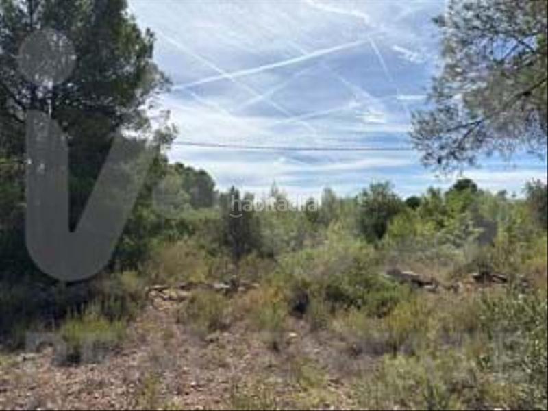 Foto 5e3c9d20-5f52-462f-a8d3-6ea466ef8758. Wohngrundstück in camino partida "comas" poligono 6 parcela 121 - vallmoll 6 6 in Constantí