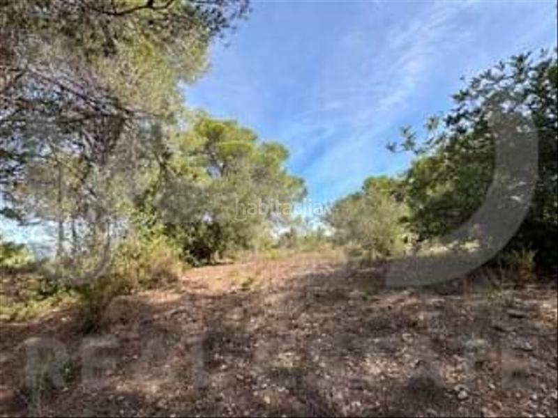 Foto 60531a25-eb4b-4949-9090-36cf2f8a7e30. Wohngrundstück in camino partida "comas" poligono 6 parcela 121 - vallmoll 6 6 in Constantí