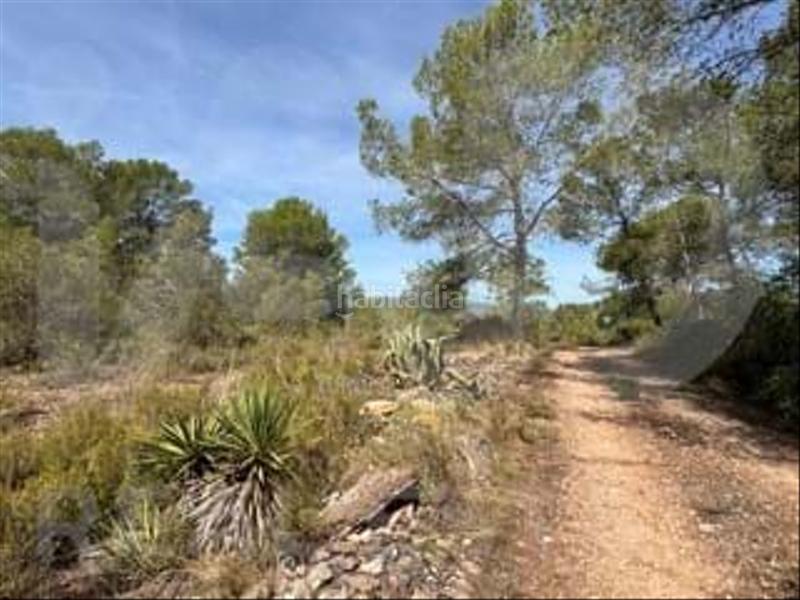 Foto 82991a4b-01f5-47da-ab9e-72f3fb8e8069. Wohngrundstück in camino partida "comas" poligono 6 parcela 121 - vallmoll 6 6 in Constantí