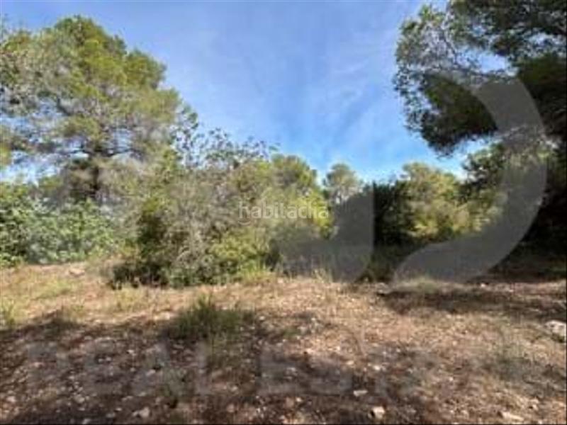 Foto 8ba13d54-9540-4759-8f8c-9228dd32160b. Wohngrundstück in camino partida "comas" poligono 6 parcela 121 - vallmoll 6 6 in Constantí