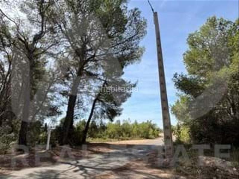 Foto a15e5e9a-d68f-4e96-9cd9-a9d4fc017ab1. Wohngrundstück in camino partida "comas" poligono 6 parcela 121 - vallmoll 6 6 in Constantí