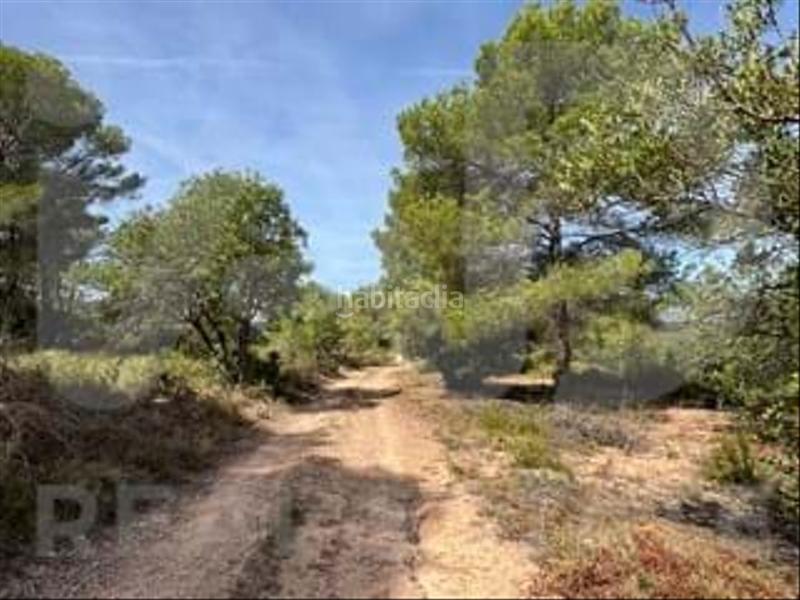 Foto b333f41a-afb6-4233-8bb1-5dbec76a6298. Wohngrundstück in camino partida "comas" poligono 6 parcela 121 - vallmoll 6 6 in Constantí