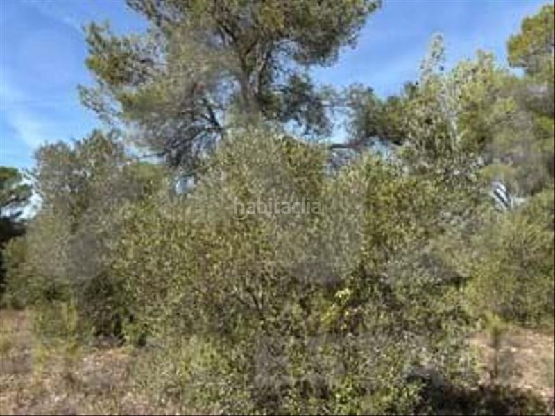 Foto b4cd73c4-34b7-46d5-ae2c-29429d573bd6. Wohngrundstück in camino partida "comas" poligono 6 parcela 121 - vallmoll 6 6 in Constantí