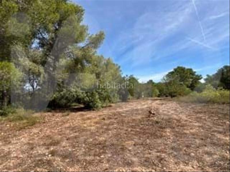 Foto bd996051-d83e-4985-a042-d0a042d7ea81. Wohngrundstück in camino partida "comas" poligono 6 parcela 121 - vallmoll 6 6 in Constantí