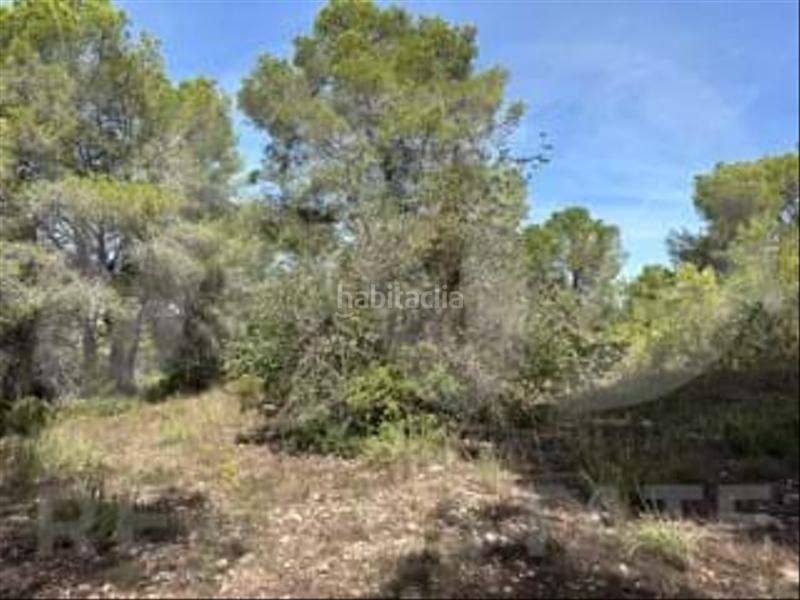 Foto c07e776d-27f8-47d4-8ea4-de2f72f4a3ed. Wohngrundstück in camino partida "comas" poligono 6 parcela 121 - vallmoll 6 6 in Constantí