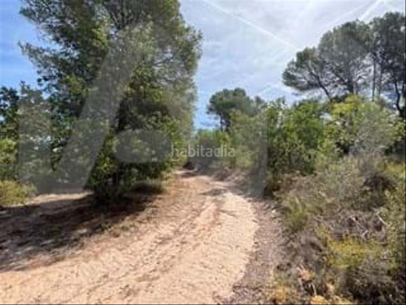 Foto d3291f32-d45b-491e-92b3-155b7bfa293c. Wohngrundstück in camino partida "comas" poligono 6 parcela 121 - vallmoll 6 6 in Constantí