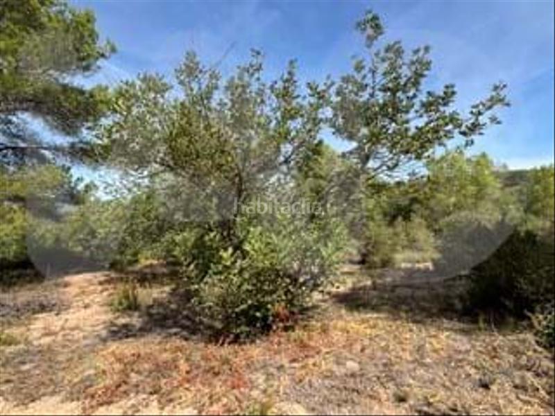 Foto e1d29c2e-4eda-40c3-beb1-812bbd51d8fe. Wohngrundstück in camino partida "comas" poligono 6 parcela 121 - vallmoll 6 6 in Constantí