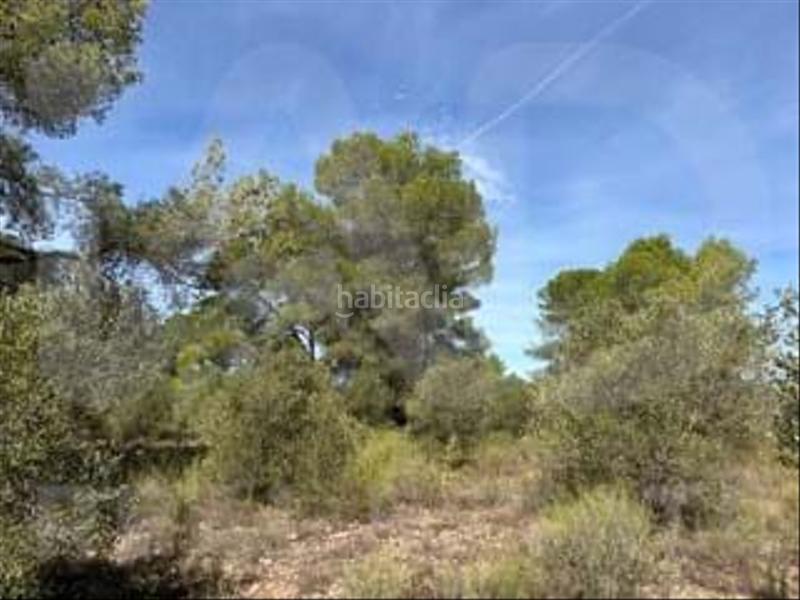 Foto e4bded7a-2273-45ec-b11d-5851f470e70b. Wohngrundstück in camino partida "comas" poligono 6 parcela 121 - vallmoll 6 6 in Constantí