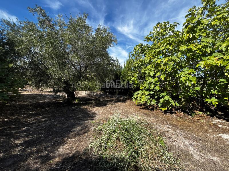 Foto 942ceb6e-fff6-4383-a520-49d578270a49. Casa con parcheggio piscina in Agullent