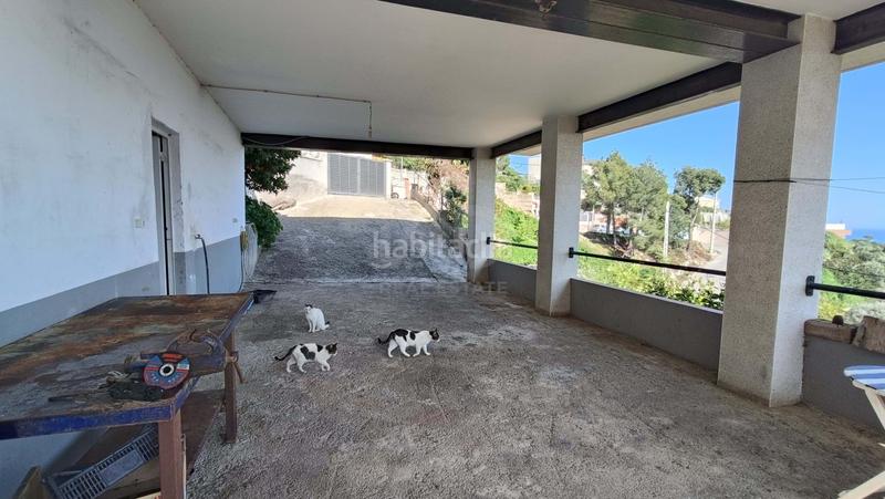 Foto c61aa1e7-ba3f-4ea1-976b-3681770da63f. Casa a costa Cunit - els jardins - els rosers Cunit