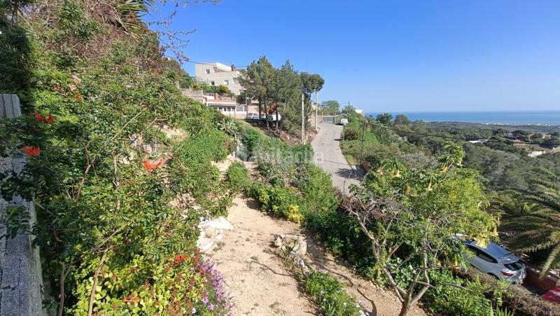 Foto 5e8c34d4-2aaf-4a7b-b815-52f1d4fcc9d5. House in costa Cunit - els jardins - els rosers Cunit