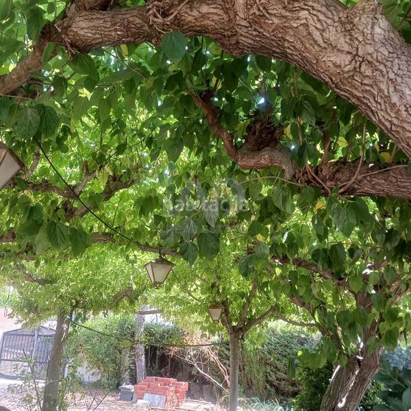 Foto e29914af-f367-4b15-a45d-93506383de54. Terrain résidentiel dans Alforja