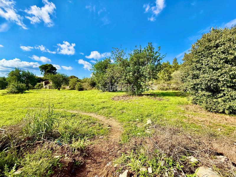 Foto a9517645-c8ba-4db6-9e01-2a0d7113e211. Finca rústica en Beniarbeig