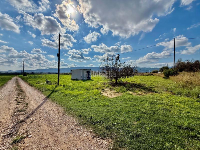 Foto 145fa241-a9c9-4cb0-833a-3681509d0603. Fondo rustico in Beniarbeig