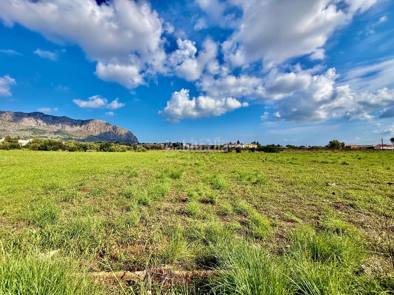 Foto 3a6d9d62-fdc8-417b-a6fa-fe95476799bb. Fondo rustico in Beniarbeig