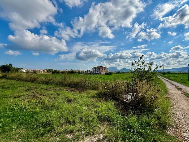 Foto 62700b6a-58a7-4a7c-af35-61a70c028159. Fondo rustico in Beniarbeig