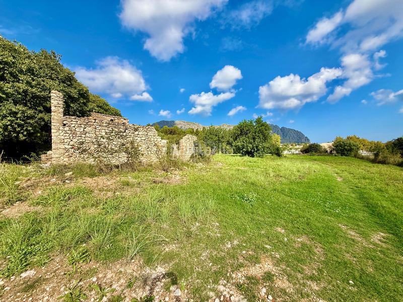 Foto dd7c973d-b624-450d-8bbd-bedd8b18a702. Fondo rustico in Beniarbeig