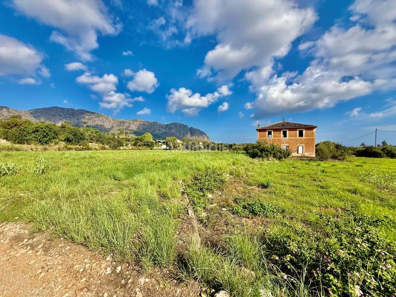 Foto e45c381f-65cd-40af-80de-a8ab7331b74b. Fondo rustico in Beniarbeig